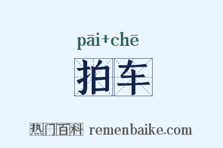 拍车是什么意思的图片